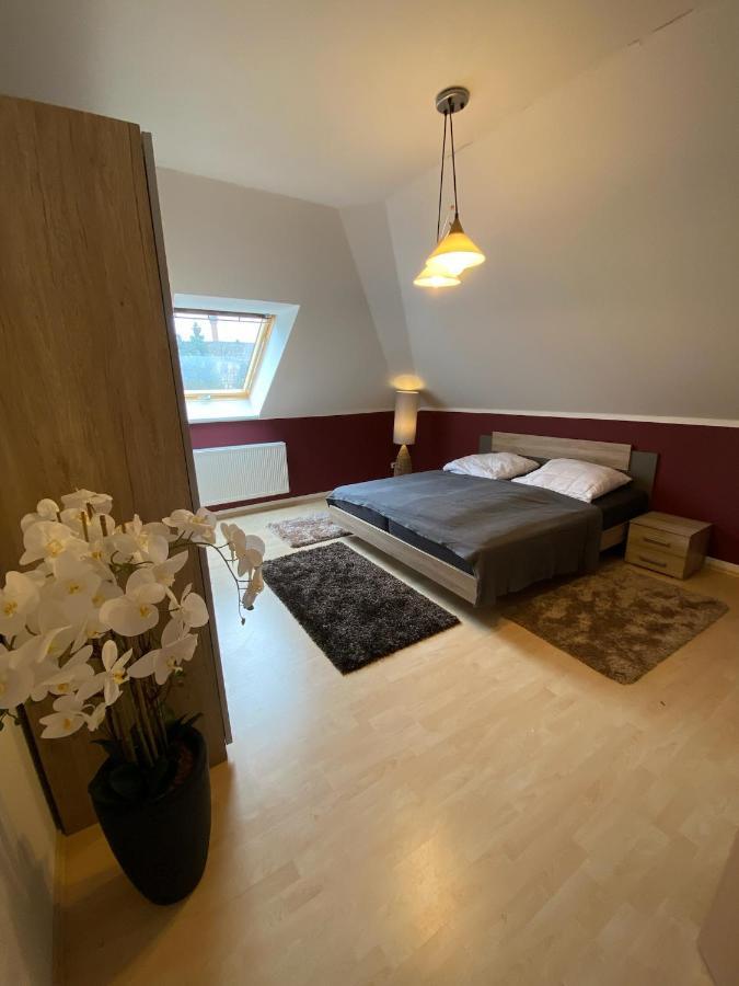 Ferienwohnung Oelzschau - Urlaub Im Leipziger Neuseenland Rötha Exterior foto